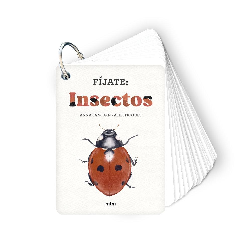 FIJATE: INSECTOS "PEQUEÑA GUIA PARA INICIARSE EN LA OBSERVACION DE LA NATURALEZA"