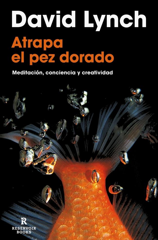 ATRAPA AL PEZ DORADO "MEDITACION, CONCIENCIA Y CREATIVIDAD"