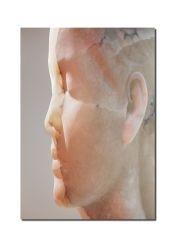 JAUME PLENSA : INNER MATTER. MATERIA INTERIOR