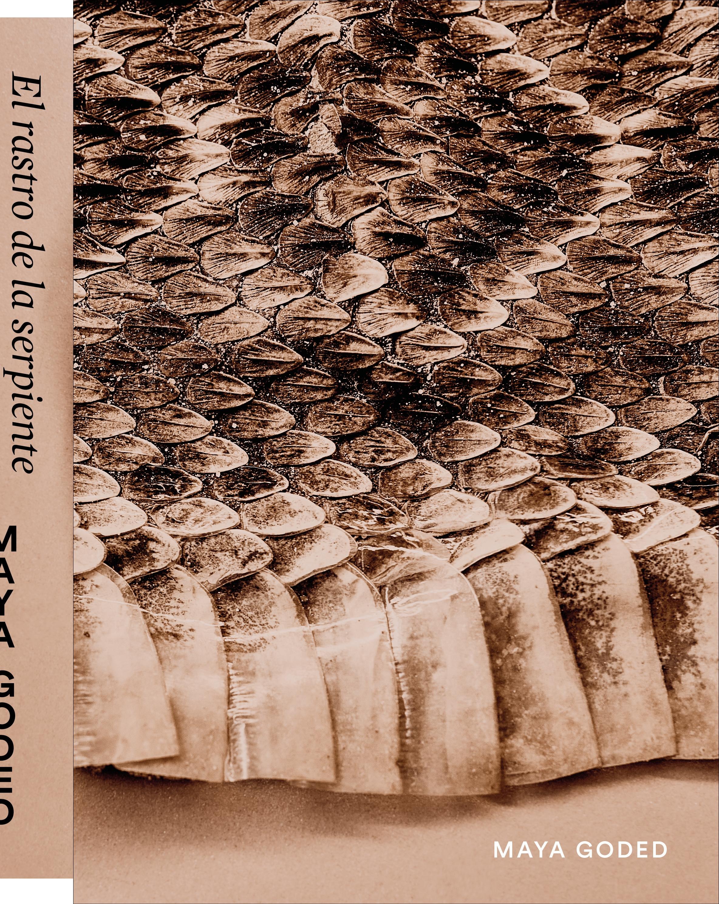 MAYA GODED: RASTRO DE LA SERPIENTE, EL  / THE SERPENT'S TRAIL