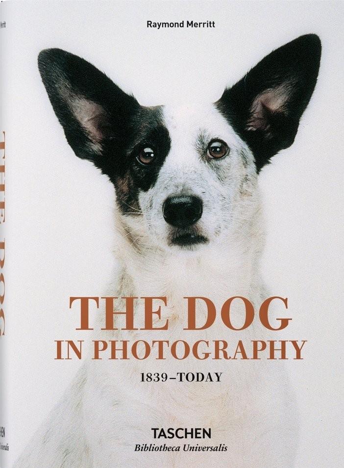 THE DOG IN PHOTOGRAPHY 1839-TODAY