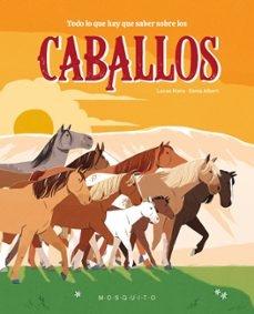 TODO LO QUE HAY QUE SABER SOBRE LOS CABALLOS