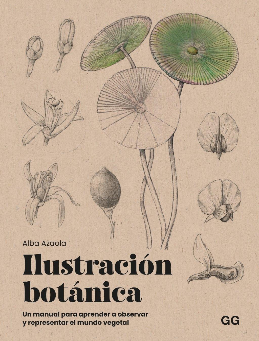 ILUSTRACIÓN BOTÁNICA "UN MANUAL PARA APRENDERVA OBSERVAR Y REPRESENTAR EL MUNDO VEGETAL"