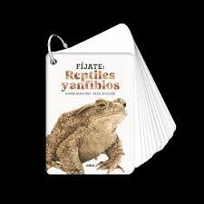 FÍJATE: REPTILES Y ANFIBIOS "PEQUEÑA GUÍA PARA INICIARSE EN LA OBSERVACIÓN DE LA NATURALEZA."