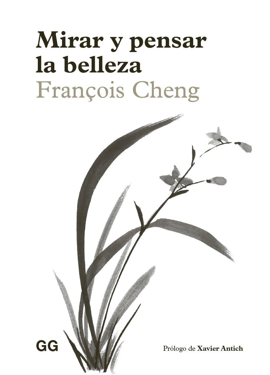 MIRAR Y PENSAR LA BELLEZA