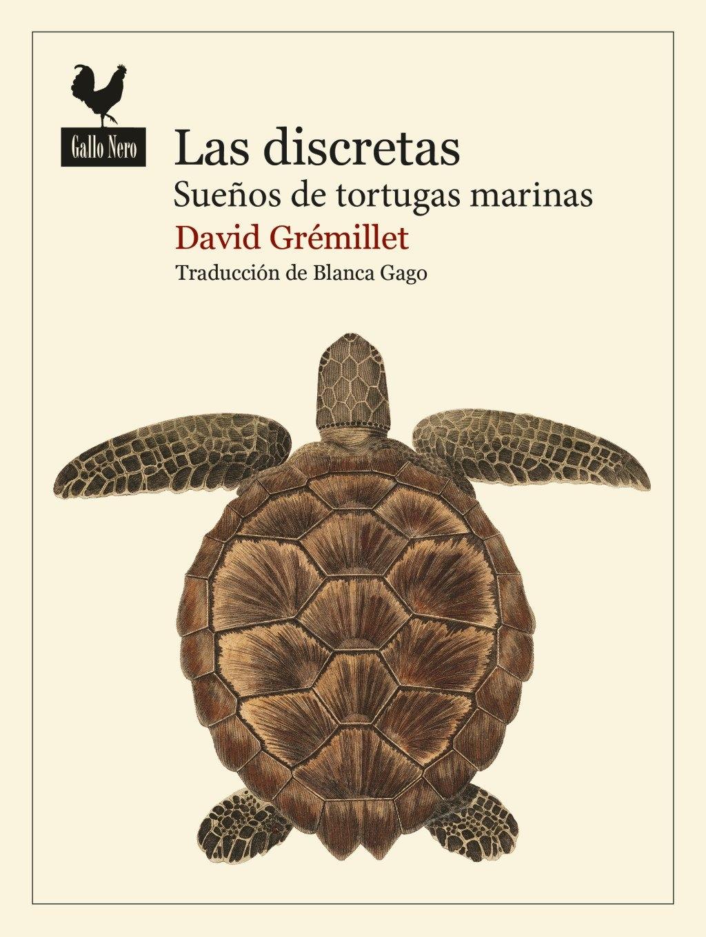 DISCRETAS, LAS "SUEÑOS DE TORTUGAS MARINAS"